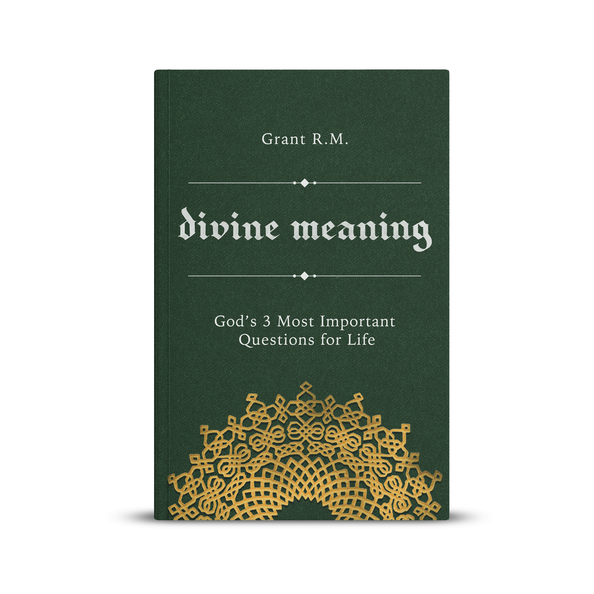 Divine Meaning: God's 3 Most Important Questions for Life (Softcover)