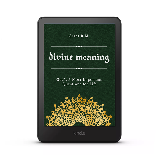 Divine Meaning - God's 3 Most Important Questions for Life (eBook)